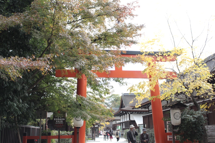 下鴨神社で縁結びをお祈りするなら 連理の賢木 に手を合わせよ